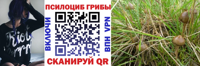 Галлюциногенные грибы мухоморы  Заполярный 